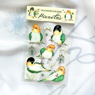 轉印貼紙 / 凱克鸚鵡圖鑑水晶轉印貼紙