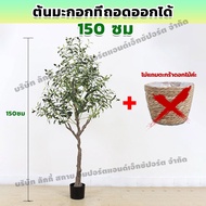 ESH ต้นโอลีฟ ต้นมะกอกปลอม ต้นไม้ปลอม ต้นมะกอก มะกอกโอลีฟ ต้นไม้ปลอมใหญ่ 120/150/180cm ลำต้นสีน้ำตาลเ