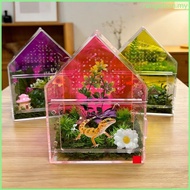 RAN Acrylic Lizards Habitat Box Ventilated Box Magnetic Closure House Box