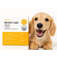 [Korea Original] Project21 Brain Care | Dog Cognitive Support Supplement | Phosphatidylserine + CoQ1