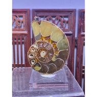 Premium Grade Ammonite crystal slab pendant (黑螺)- 52.3g