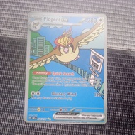 Pokemon card ex exclusif card Pidgeot