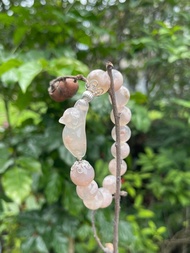 果凍大貓咪 ─ 孤品手串。櫻花瑪瑙。基本手圍17cm。手圍可修改