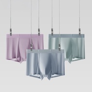 Men's Antibacterial Boxer Briefs | Seamless Comfort Underwear with Wormwood Lining & Ergonomic Pouch