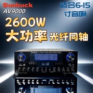 SUNBUCK AV9000 15-Inch Large Power Bluetooth KTV Stage Sound Professional Coaxial Amplifier 2.1 Chan