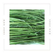 11.11 Premium Timothy Hay Pets/ Hay Ball/Fur Keychain/ Hay Cookies Rabbits, Guinea Pigs