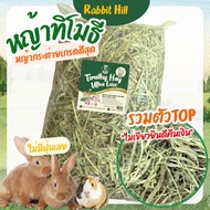RabbitHill Timothy Grass 2026 (Harvest 6/2026) cut 1 1st Ultra Luck (New Season) Dust 1 kg.