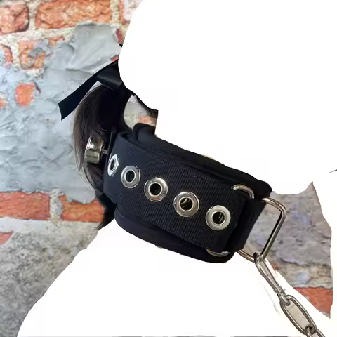 Harness Belts Male female neck collar with lock slave Bondage Restraint Adjustable Neck Restraint Er