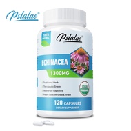 Echinacea Extract 1300 mg | 120 capsules | Vegan, Non-GMO, Gluten-Free Supplement