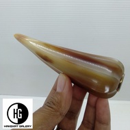 once pipa rokok tanduk kerbau model belimbing bule original D957