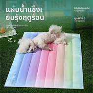 Pet Ice Pad Rainbow Gradient Ice Pad Dog Cool Mat Sleeping Pad Kennel Cool Pad Summer Ice Pad Cat Li