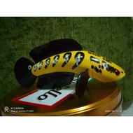 REPLIKA Replica of chana fish statues/chana replicas