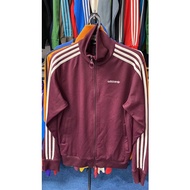 tracktop adidas polar bear