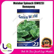Malabar Spinach Seeds/ Benih Bayam Malabar/ Benih Remayong 50 biji (GW023) Benih, seed 马拉巴尔菠菜