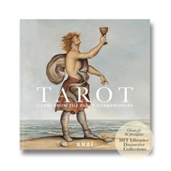 [USPCC Poker] Notes from the Pagan otherworlds Picture Album Manual