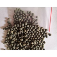 5 ounces of green okra seeds