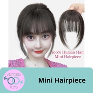 Mini Hairpiece / Real Human Hair / Wig Rambut Palsu Asli Manusia - 20 cm