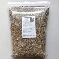 Premium Succulent & Cactus Soil Mix 1L | Pumice Kanuma Akadama | Fast Draining Mix for Haworthia Gym