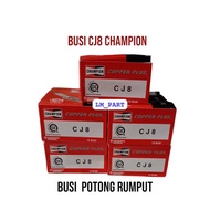 MESIN CUTTING MACHINE SPARK PLUG | Champion CJ8 Spark Plug | 328 CARRYING GRASS | 2-STROKE WOOD CUTT