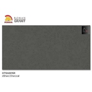 ROMAN GRANIT GT1265515R dShard Charcoal 120X60 kw1 (Granit Roman)