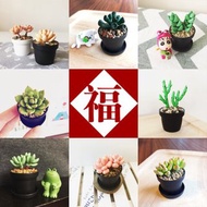【驚喜福袋】接單製作款 多肉一吋盆栽 隨機款。仿真黏土多肉植物