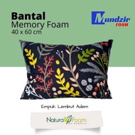 BE6DG Newest F48 Soft Memory Foam Pillow