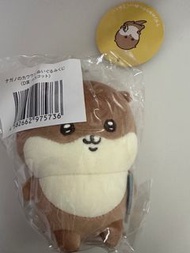 Nagano 水獺 一番賞 D賞 水族館