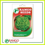 ∈ RPO Lettuce Lollo Bionda Seeds