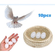 PIGEON EGGS, FAKE EGGS,/ EGGS, BIRD EGGS,/ TOYS, TURTLE BIRD EGGS, QUALITY FAKE PLASTIC EGGS