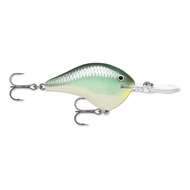 Rapala Dive Stoo 6cm/17g BBH Blueback Herring DT12