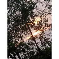 Hair Steamer With Headcap 800W Spa Salon Micro Mist Hair Steamer Hot Cold Fog Hair Care Machine