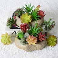 1Pcs Simulated Succulent Plant Bonsai Plush Mini Artificial Succulent Accessories, Green Plant Wall DIY Home Decoration Ornaments
