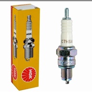 Spark Plug NGK