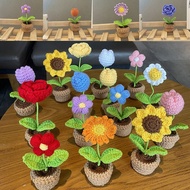 Eternal Flower Cute Style DIY Handwoven Simulation Pot Flower Planting Thread Crochet Knitted Finished Home And Garden Decorative Ornament