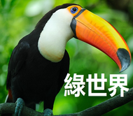 綠世界門票 票券