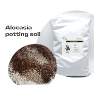 4liter 🌱Alocasia potting mix🌱Caladium soil🌱tanaman alocasia Ready stock