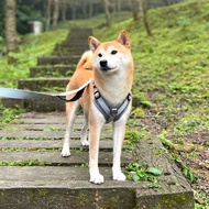 Woofy Woofy 戶外輕量胸背帶 極致灰 不勒氣管 寵物 寵物用品 狗