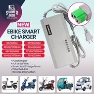 Smart Ebike Charger 48V20AV 60V 72V Battery Applicable for Romai, Nwow, Kenwei, Lucky Lion, Ku