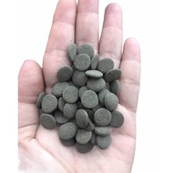 Rat Fish Food, Specialized Pleco - Healthy, Gluttonous Fish