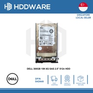 DELL 300GB 15K 6G SAS 2.5'' 512n HDD // 04GN49 // 4GN49 // AL13SXB300N
