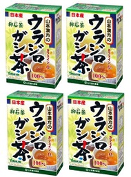 【×4箱セット送料込】山本漢方製薬 ウラジロガシ茶 5g×20包　ウラジロガシ100%でノンカフェイン 飲みやすいです 4979654027656