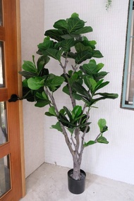 人造植栽/仿真琴葉榕/仿真植物/綠化/永不凋零