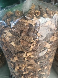 優質乾羊肚菌 羊肚菌乾