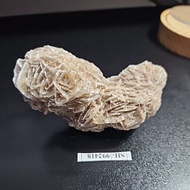 Selenite DESERT ROSE AFRICA HQ