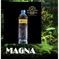 Daphnia Aquarium Needs A Nutritious Feeding Tools for Aquarium