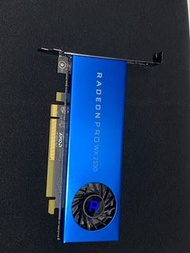 Radeon™ Pro WX2100