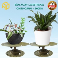 Livestream bonsai turntable, super durable heavy-duty bonsai turntable, size 29 cm, painted gold