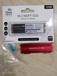 [虧本賣‼️][超高CP值‼️]Teamgroup MS30 1TB M.2 Ngff SATA 固態 送原廠散熱片套裝