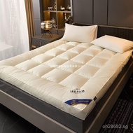 Hilton Ultra Soft Hotel Mattress Pad Thickened Home Bed Mattress Five-Star Mattress Dormitory Soft P