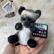 Cat Keychain Doll Virtual Reality Gray Second Hand Authentic Licensed Lifelike Animal Real Plush